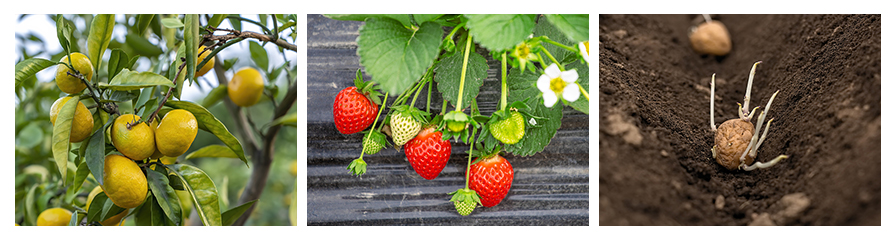 172456105.jpg 10.jpg