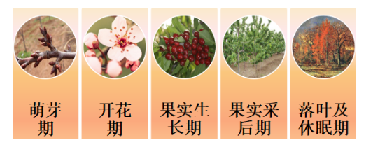 102213872.png 102213872.png