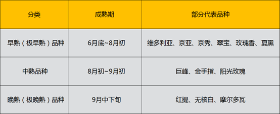 095506481.png 095506481.png