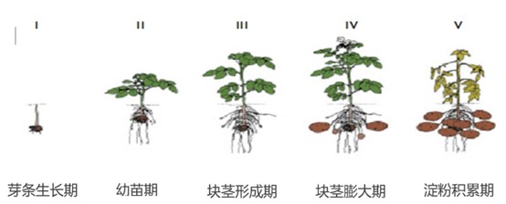 090639837.jpg 090639837.jpg