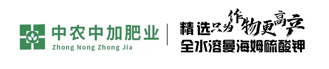 134928104.jpg 134928104.jpg