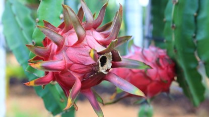 093338449.jpg 093338449.jpg