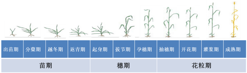 091607843.png 091607843.png